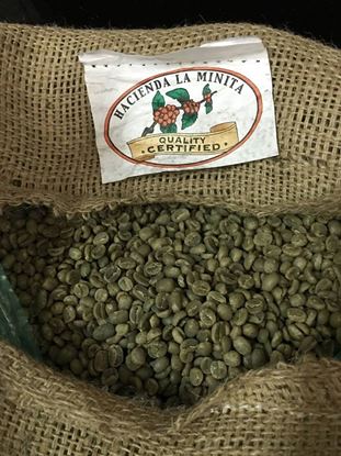 Picture of 哥斯大黎加 拉米妮塔莊園(La Minita)-半磅熟豆